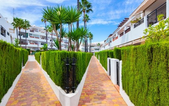 2 bedroom Penthouse in Villamartin - RPE157822 - Photo - Small - 32