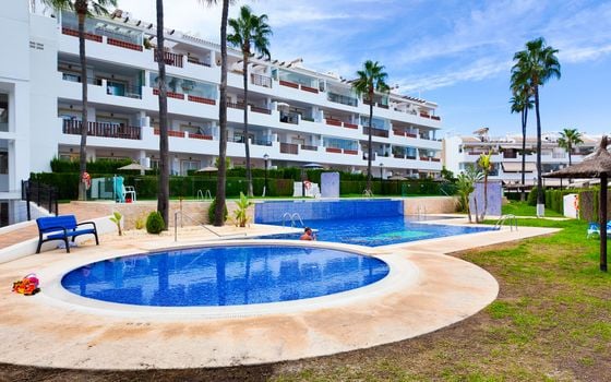2 bedroom Penthouse in Villamartin - RPE157822 - Photo - 3