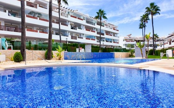2 bedroom Penthouse in Villamartin - RPE157822 - Photo - Small - 33