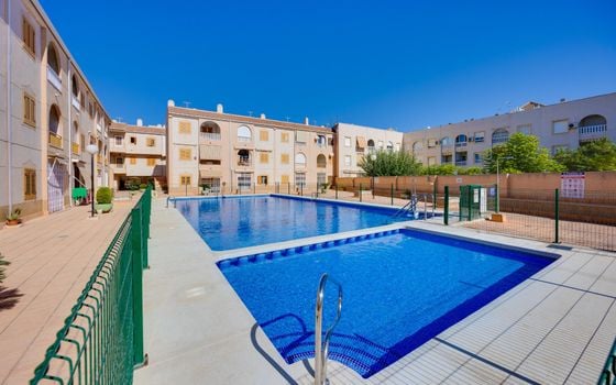 3 bedroom Apartment in Torrevieja - CYM157909 - Photo - 2