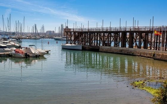 Apartament cu 2 dormitoare în Torrevieja - PPS158004 - Imagini - Small - 15