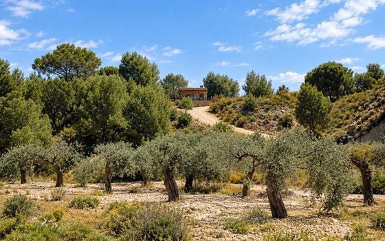 3 bedroom Villa in Murcia - FPS158009 - Photo - Small - 25