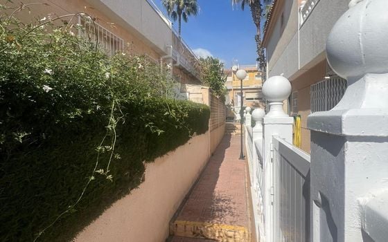 Вилла в Торревьехе, 3 спальни - AG158145 - Фото - Small - 39