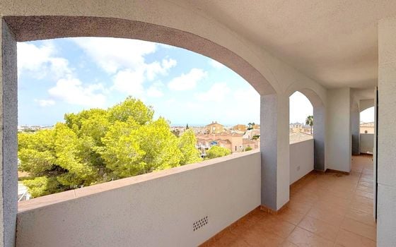 Villa de 5 chambres à San Miguel de Salinas - VH158230 - Photo - Small - 29