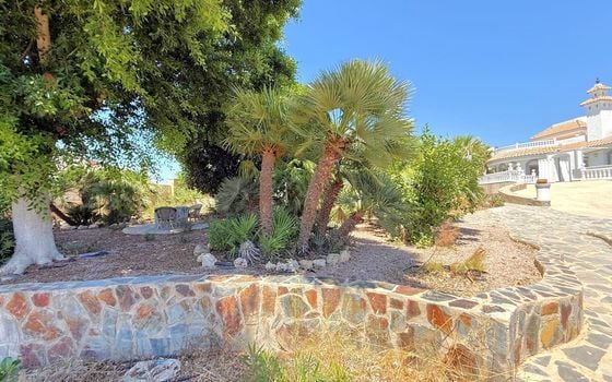 Villa de 5 chambres à San Miguel de Salinas - VH158230 - Photo - Small - 41