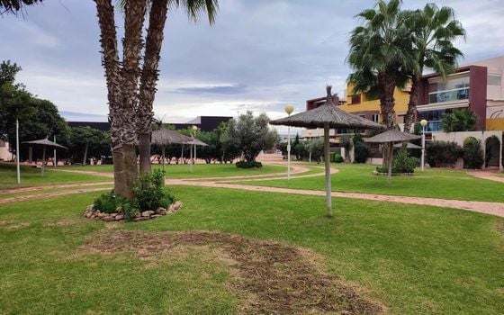 2 bedroom Apartment in Orihuela Costa - CRR158270 - Photo - Small - 24