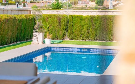 3 bedroom Villa in Ciudad Quesada - CBB158276 - Photo - Small - 46