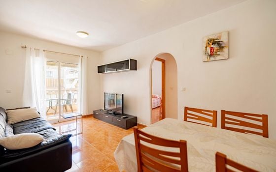 3 bedroom Apartment in Torrevieja - CI158411 - Photo - 4