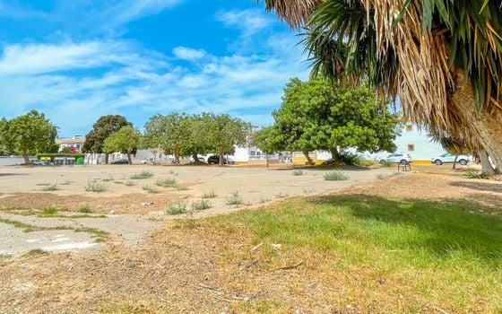 2 bedroom Townhouse in Torrevieja - MVR158447 - Photo - Small - 30