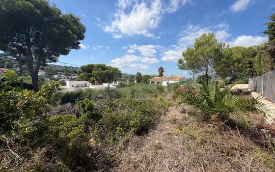  Plot in Javea- PVJ158471 - Photo - 4