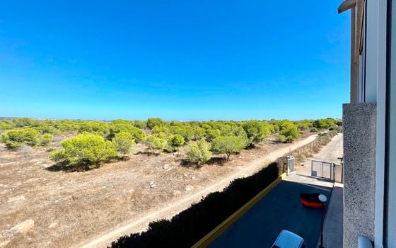 3 bedroom Apartment in Torrevieja - SLN158472 - Photo - Small - 16