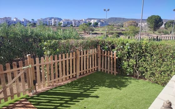 2 bedroom Apartment in Sucina - PSP158520 - Photo - 5
