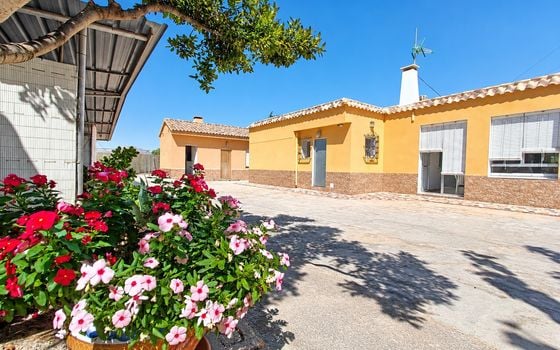 3 bedroom Villa in Hondón de los Frailes - CNM158607 - Photo - Small - 35