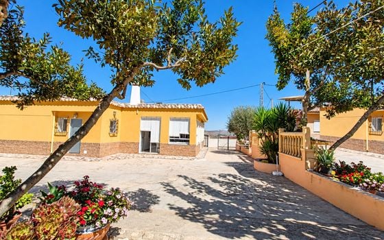 3 bedroom Villa in Hondón de los Frailes - CNM158607 - Photo - Small - 4