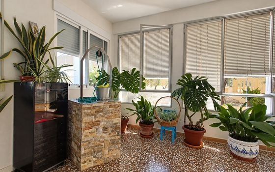 3 bedroom Villa in Hondón de los Frailes - CNM158607 - Photo - Small - 31