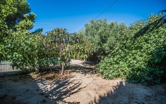 4 bedroom Townhouse in Orihuela - GS158782 - Photo - Small - 20