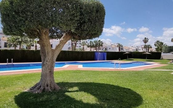 Bungalow cu 2 dormitoare în Los Dolses - PSE158843 - Imagini - Small - 23