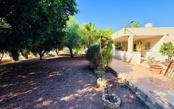 4 bedroom Villa in Crevillente - BCH158958 - Photo - Small - 14