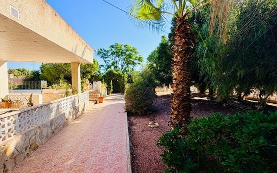 4 bedroom Villa in Crevillente - BCH158958 - Photo - Small - 15