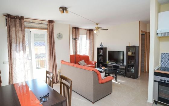 3 bedroom Penthouse in Torrevieja - PPS158967 - Photo - 5