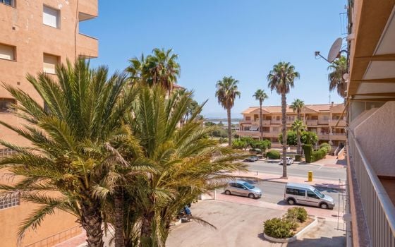 1 bedroom Apartment in La Mata - GVS159009 - Photo - Small - 11