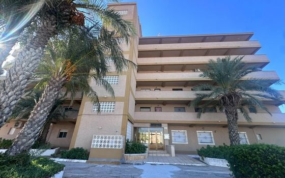 1 bedroom Apartment in La Mata - GVS159009 - Photo - 1