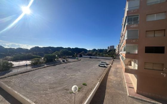 1 bedroom Apartment in La Mata - GVS159009 - Photo - Small - 8