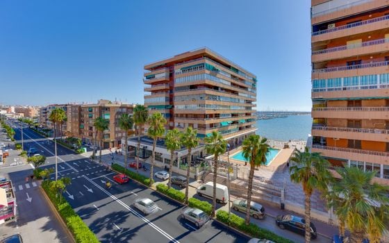 2 bedroom Apartment in Torrevieja - TIM159191 - Photo - Small - 24