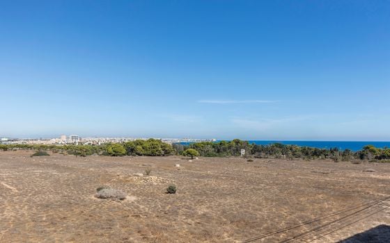 2 bedroom Apartment in Torrevieja - B159235 - Photo - Small - 16