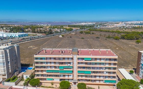 2 bedroom Apartment in Torrevieja - B159235 - Photo - Small - 19