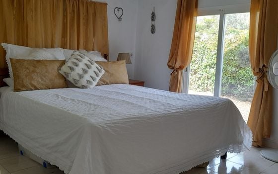 6 bedroom Villa in Orba - TPT159331 - Photo - Small - 10