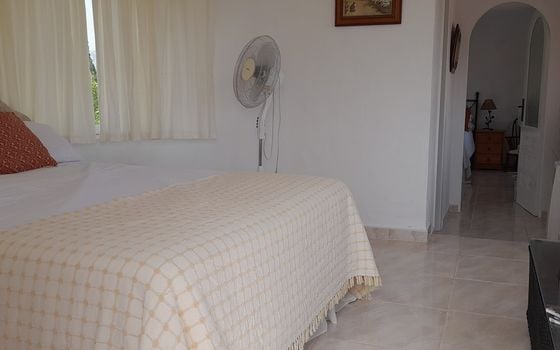 6 bedroom Villa in Orba - TPT159331 - Photo - Small - 14
