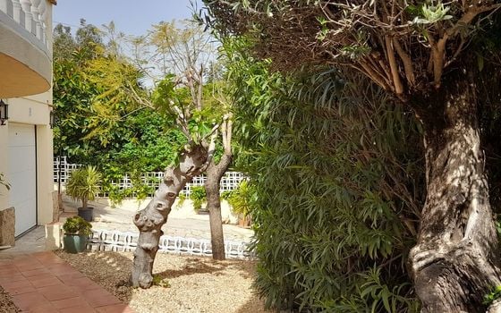 6 bedroom Villa in Orba - TPT159331 - Photo - Small - 22