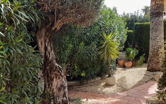 6 bedroom Villa in Orba - TPT159331 - Photo - Small - 23