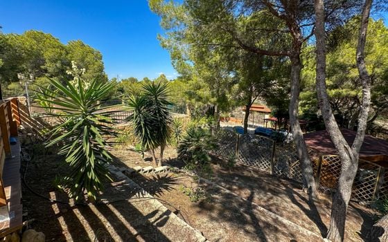 Villa de 3 chambres à San Miguel de Salinas - RCJ159526 - Photo - Small - 32