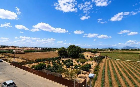 2 bedroom Bungalow in Rojales - VRE159611 - Photo - Small - 16