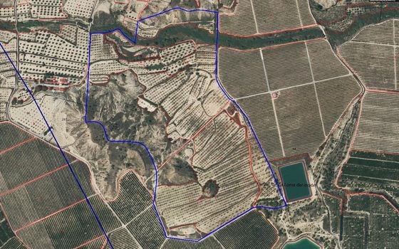  Plot in Torremendo- ERD159684 - Photo - 5