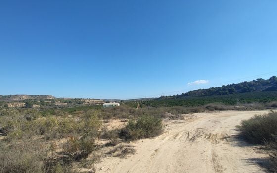  Plot in Torremendo- ERD159684 - Photo - 2