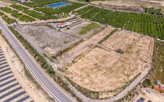  Plot in Los Montesinos- ERD159689 - Photo - 4