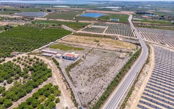  Plot in Los Montesinos- ERD159689 - Photo - 5