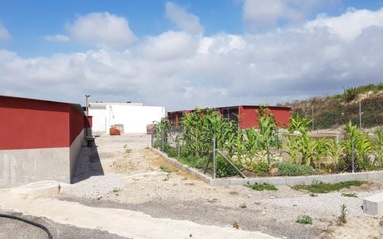 Pozemek   v Los Montesinos, - ERD159689 - Foto - Small - 17