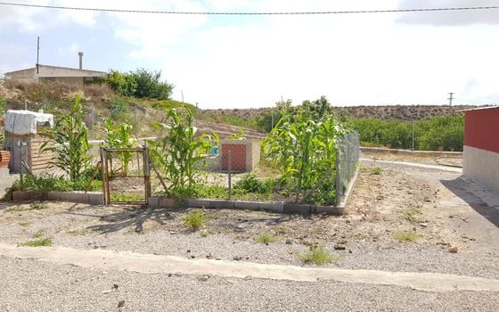 Pozemek   v Los Montesinos, - ERD159689 - Foto - Small - 18