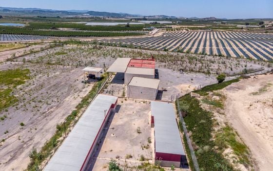 Pozemek   v Los Montesinos, - ERD159689 - Foto - Small - 32