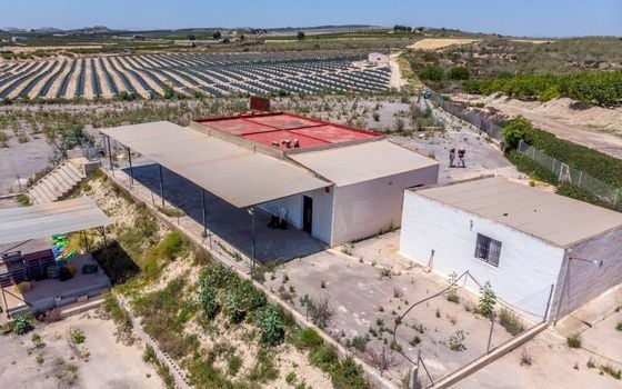  Plot in Los Montesinos- ERD159689 - Photo - 3