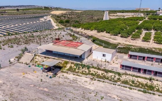  Plot in Los Montesinos- ERD159689 - Photo - 1