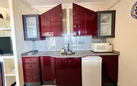 2 bedroom Bungalow in Torrevieja - CSH159738 - Photo - 5