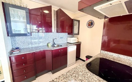 Bungalow de 2 chambres à Torrevieja - CSH159738 - Photo - Small - 6