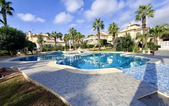 Bungalow de 2 chambres à Torrevieja - CSH159738 - Photo - Small - 19