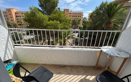 1 Schlafzimmer Appartement in Guardamar del Segura - NSP159800 - Foto - Small - 7