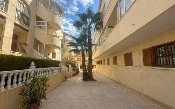 Apartament cu 2 dormitoare în La Zenia - RCJ159801 - Imagini - Small - 22